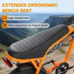 Clearance : V101 Ebike - Image 8