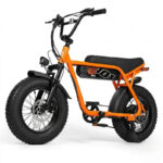 Clearance : V101 Ebike - Image 10